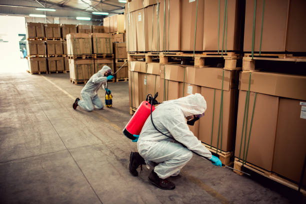 Best Mosquito Control Services  in Wildwood Lake, TN