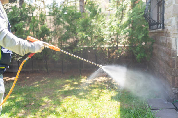 Best Affordable Pest Control Services  in Wildwood Lake, TN