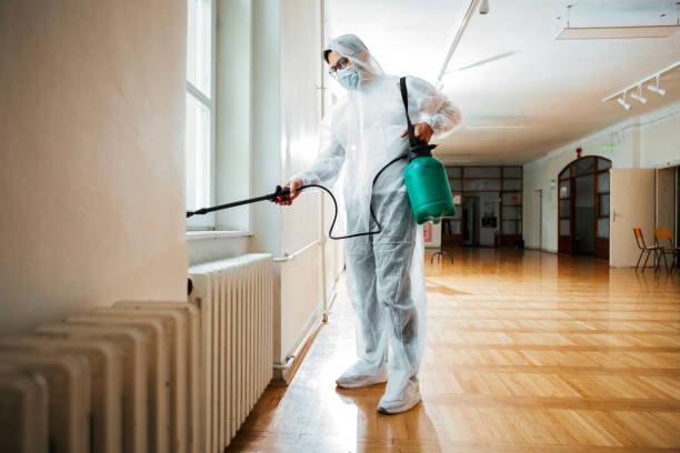 Best Wasp Removal Services  in Wildwood Lake, TN